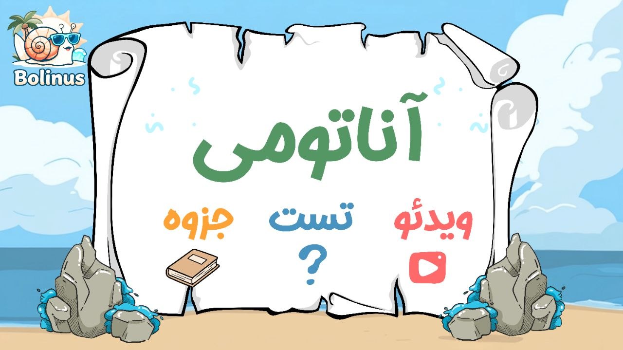آناتومی