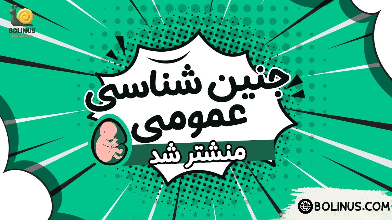 جنین شناسی | بولینوس